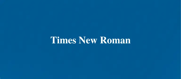 Times New Roman CapCut font