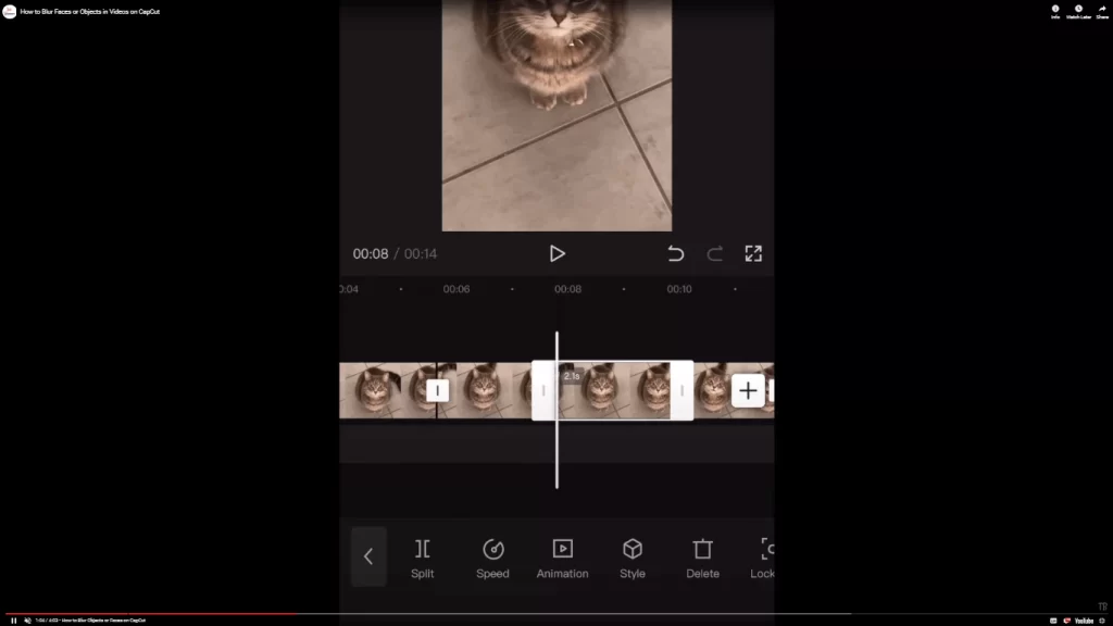 If you want to blur a specific portion of the video, find the parts where you need to blur the segment of your video and split the video at the start and end of that clip.
