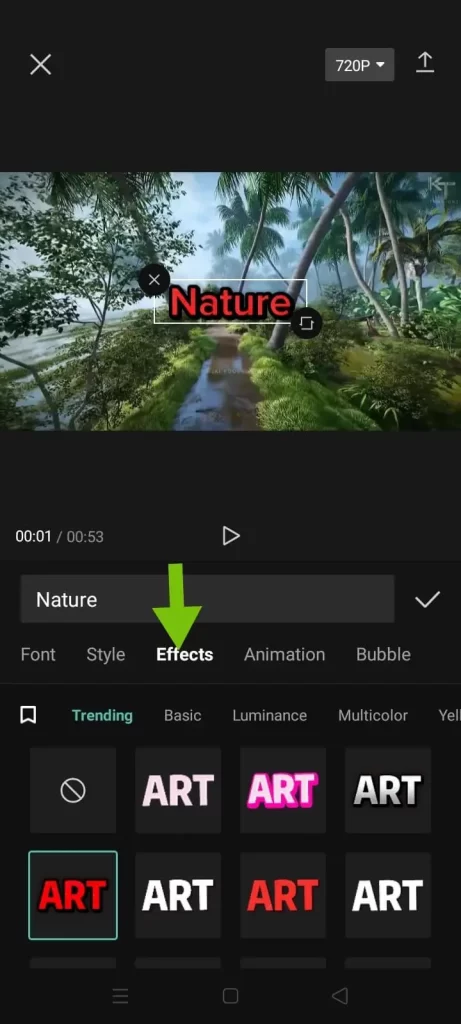 You can add amazing style, effects, bubbles,  and animations to the text of the video.